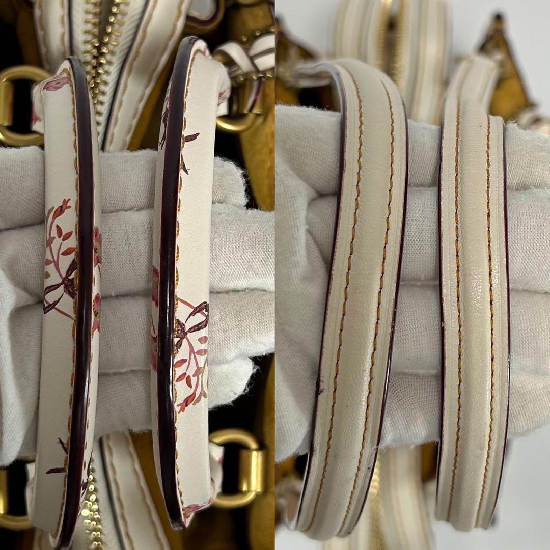 【極美品】コーチ ローグ25 2way ハンドバッグ レザー 斜め掛け 花柄