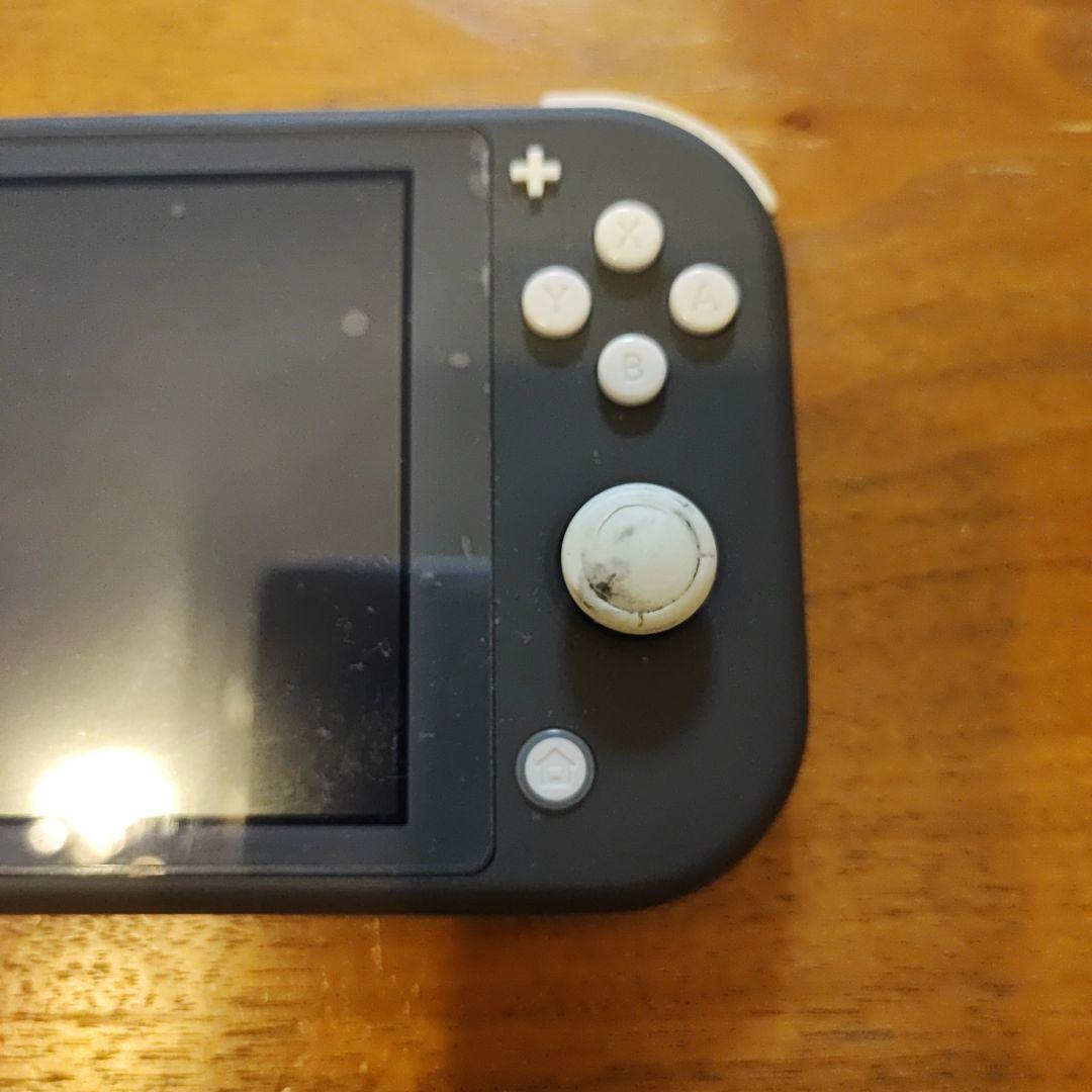 ニンテンドースイッチライト本体+ACアダプター ※ジャンク