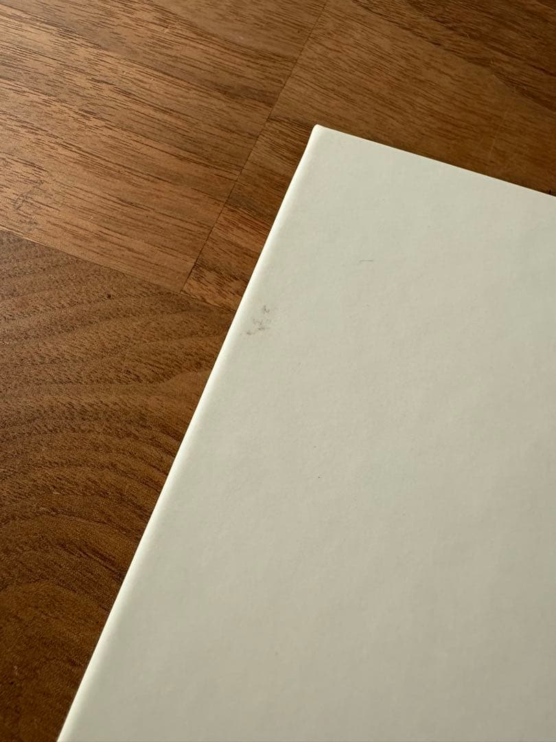 藤原ヒロシ アートワーク fragment goodenough AFFA