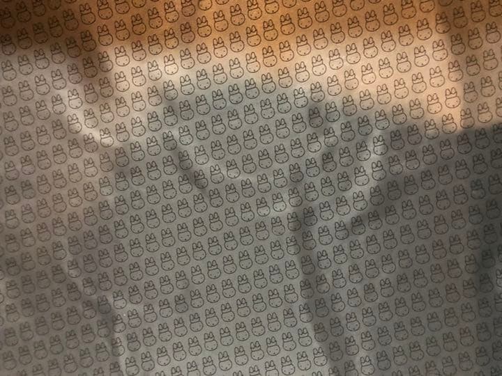 KLM ミッフィー スーツケース キャリーケース