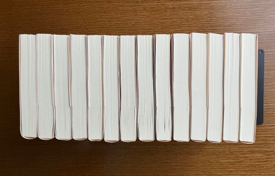 狂四郎2030 （文庫版）全14巻