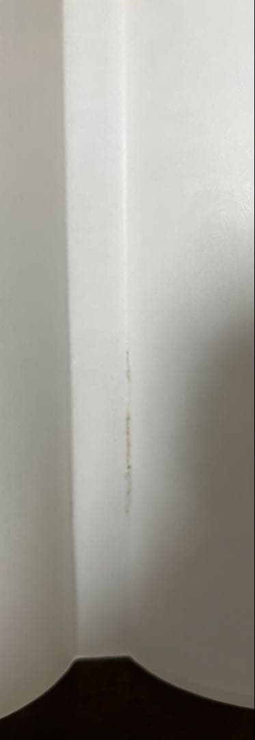 【希少品】ワンピース　ONE PIECE 第1巻チラシ付き初版