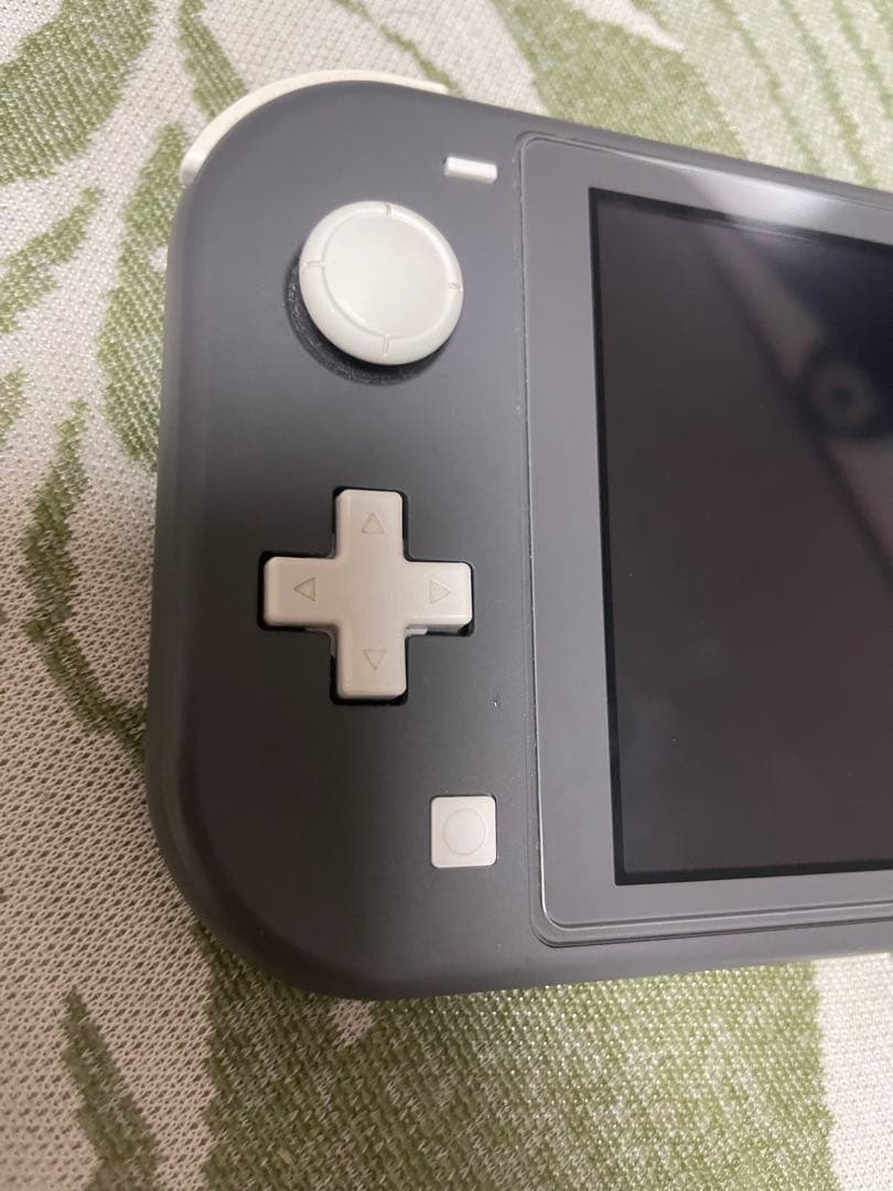 Nintendo Switch Lite 動作確認済みACアダプター付