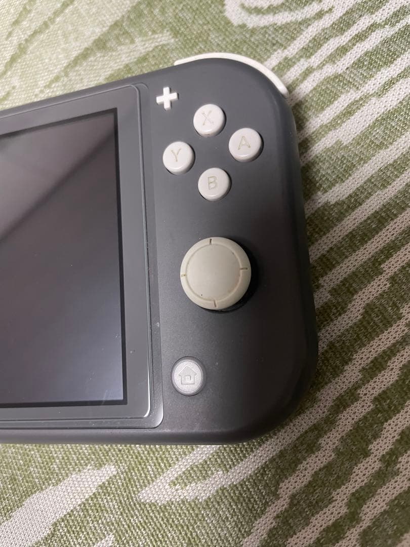 Nintendo Switch Lite 動作確認済みACアダプター付