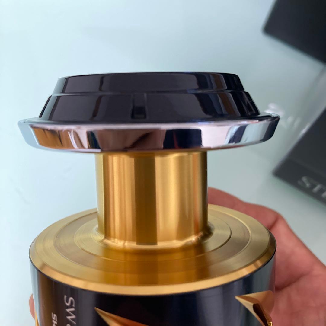 19ステラSW8000HG 替スプール組