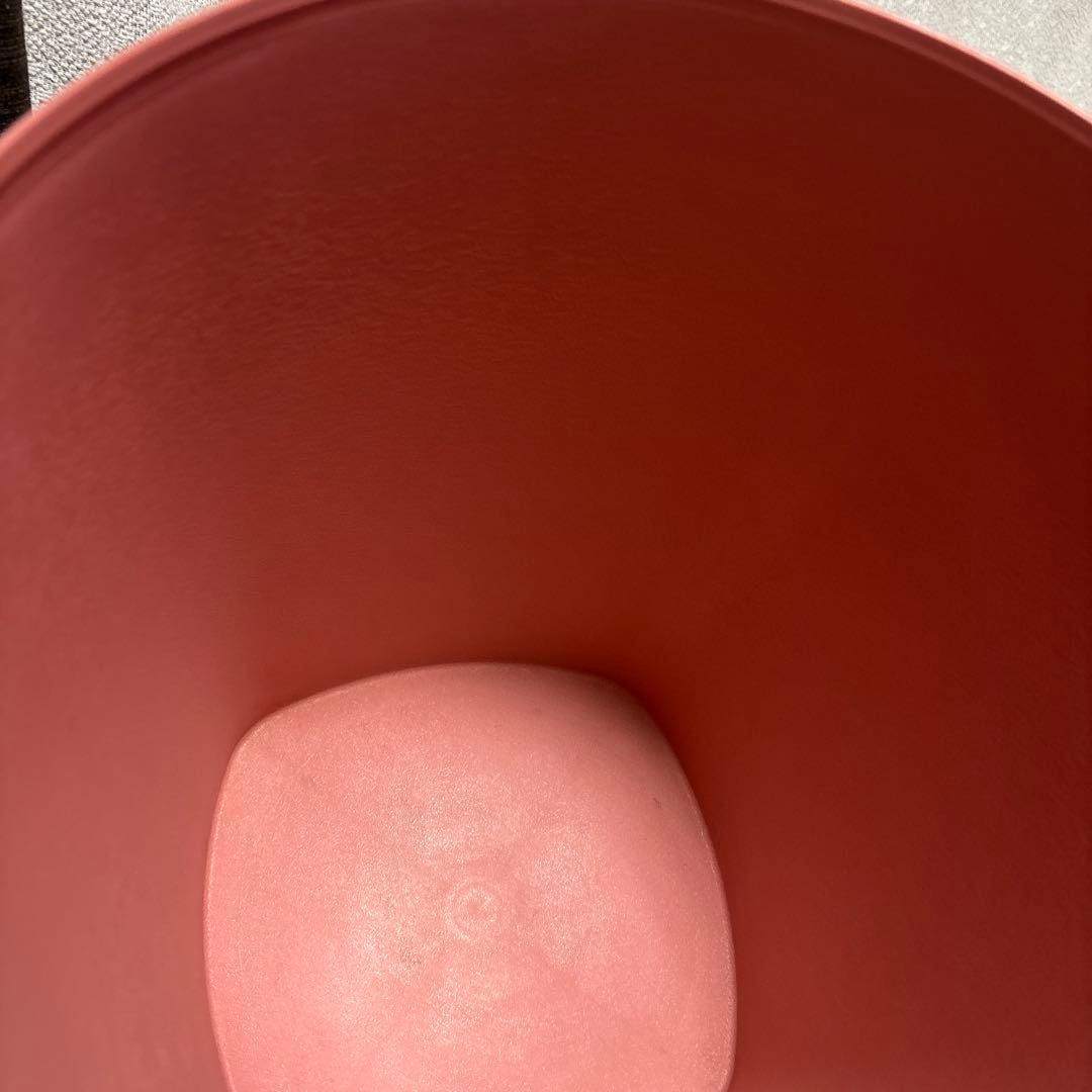 タッパーウェア　Tupperware マキシクイーンデコレーター