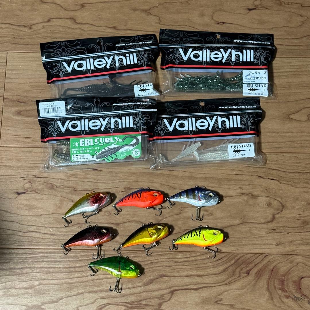 バレーヒル　ギガノト＋おまけ