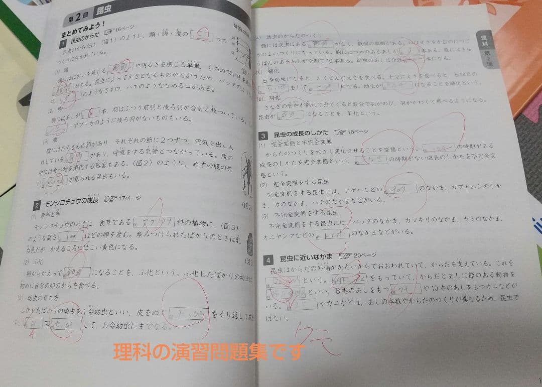四谷大塚 予習シリーズ４年上と春期講習★早稲田アカデミー★４教科16冊★中学受験