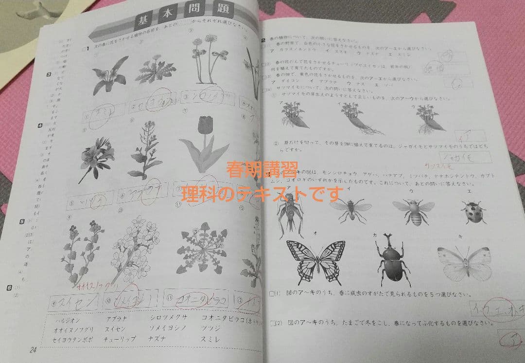 四谷大塚 予習シリーズ４年上と春期講習★早稲田アカデミー★４教科16冊★中学受験