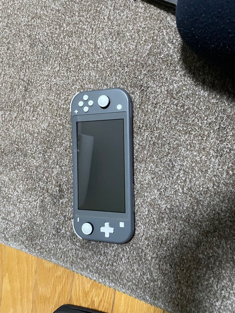 Nintendo Switch Lite グレー 本体+ 専用ケース
