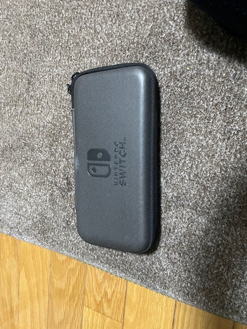 Nintendo Switch Lite グレー 本体+ 専用ケース
