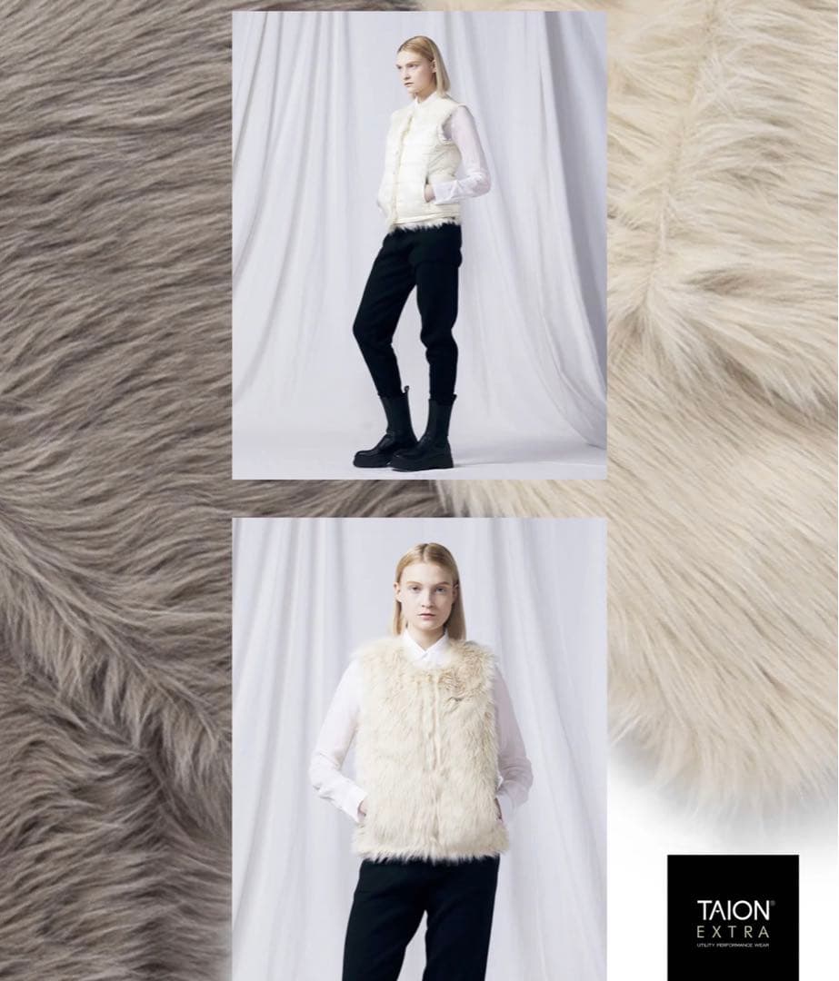 TAION EXTRA ファーベスト