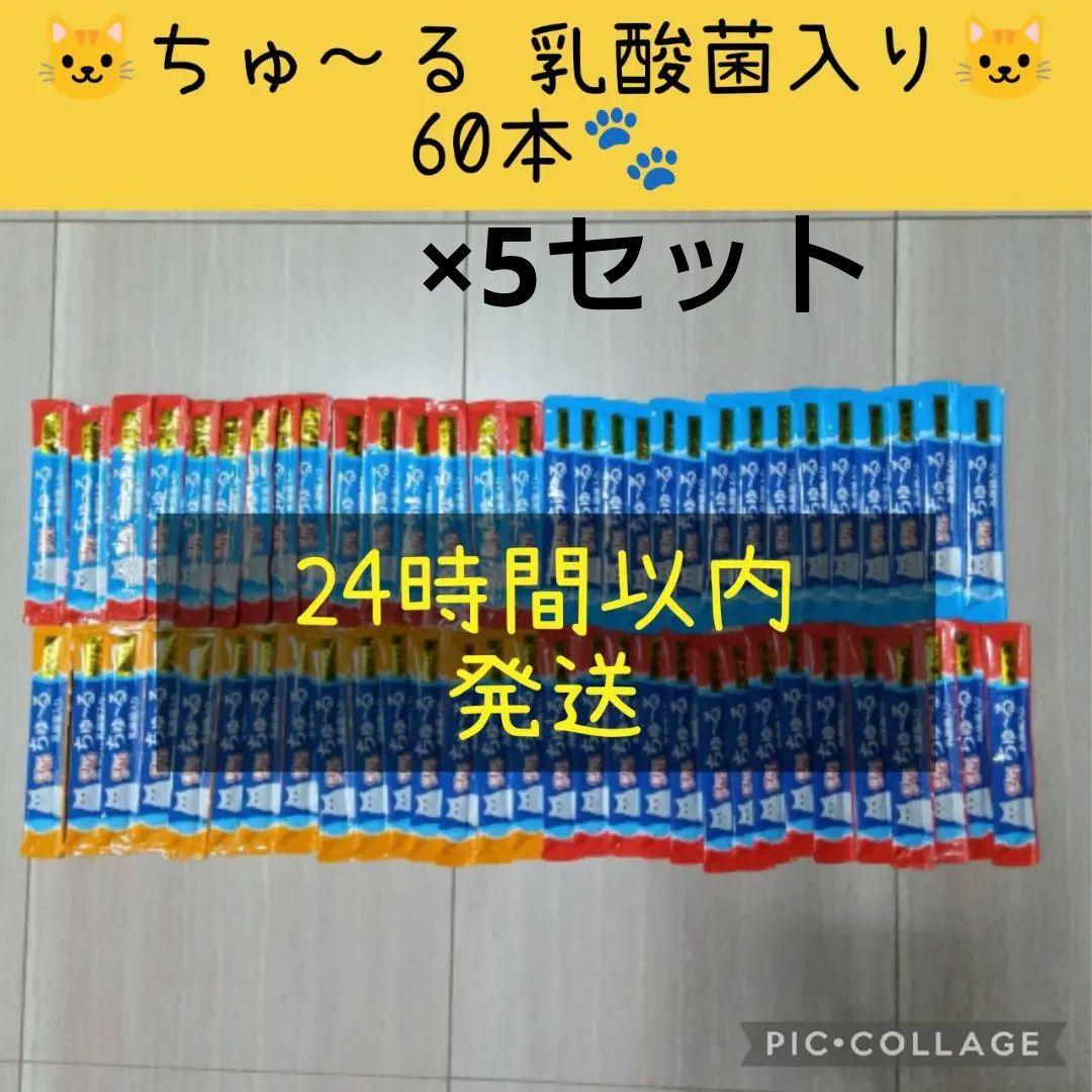 ⑫ いなば CIAOちゅーる 乳酸菌 バラエティ60本×5セット