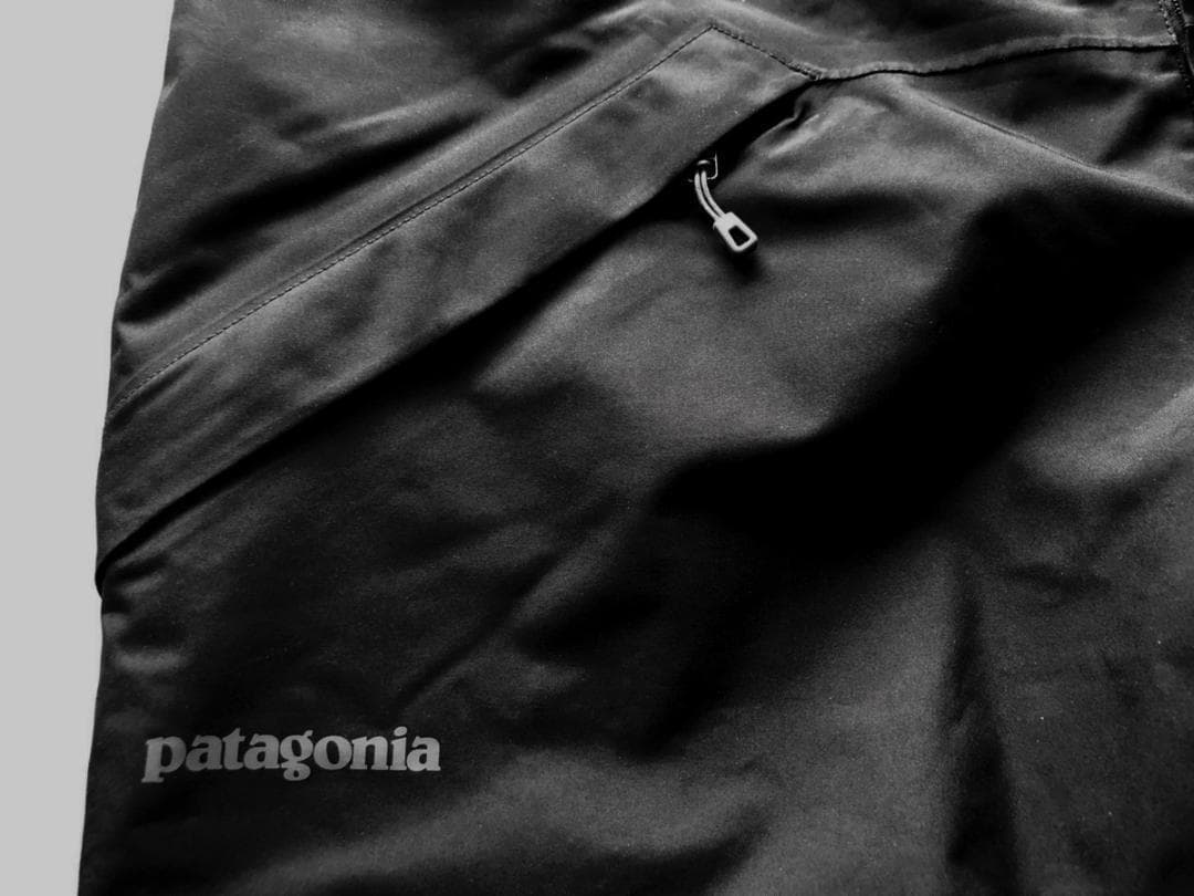 AYAパタゴニア H2No スノーショットパンツ RECCO搭載 L 黒