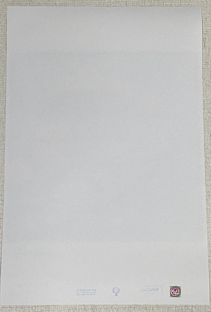 【世界100部限定】アンディ ウォーホル リトグラフ 「カエル」