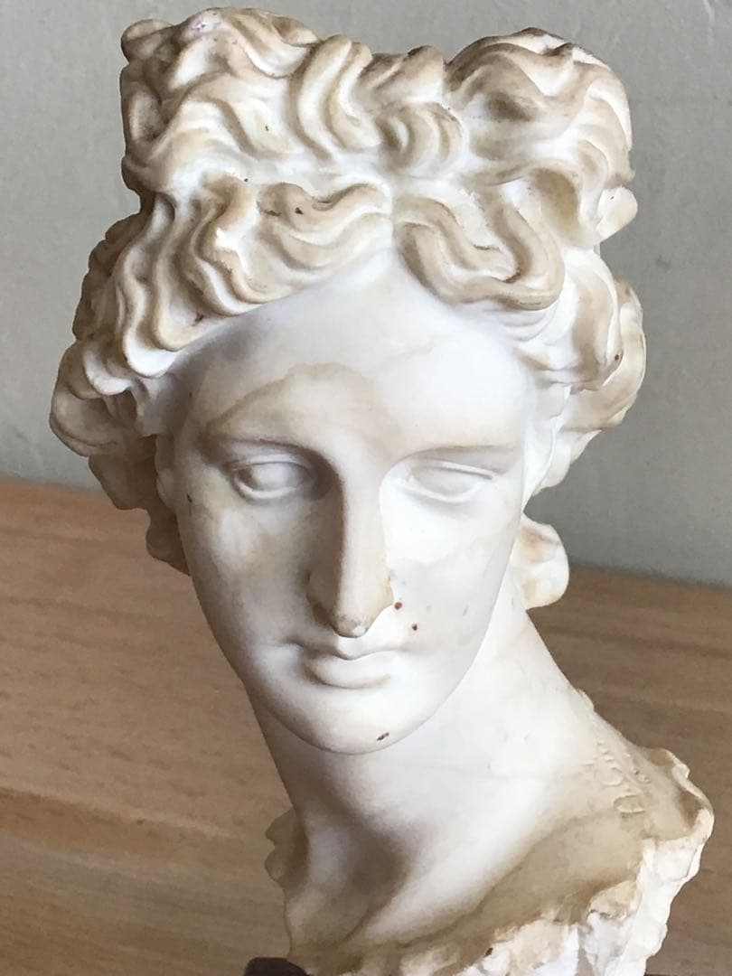 西洋彫刻　石膏　アポロ神　古代ギリシャ　オブジェ　置物　アンティーク