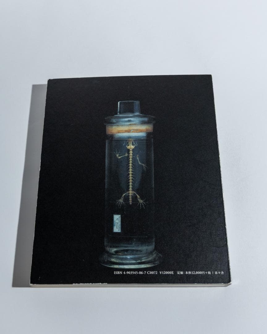 上田義彦「Chamber of Curiosities 」並品