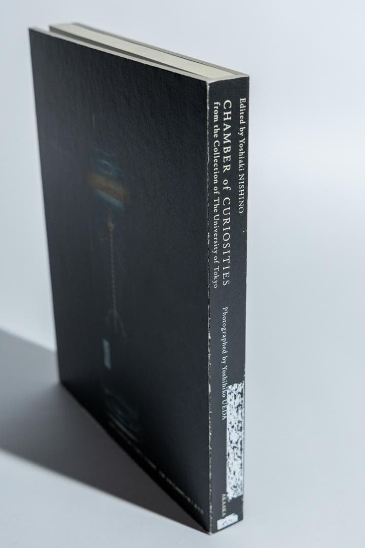 上田義彦「Chamber of Curiosities 」並品