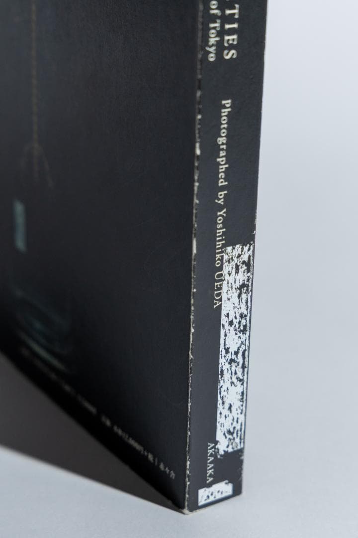 上田義彦「Chamber of Curiosities 」並品