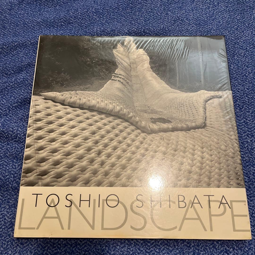Toshio Shibata Landscape 柴田敏雄