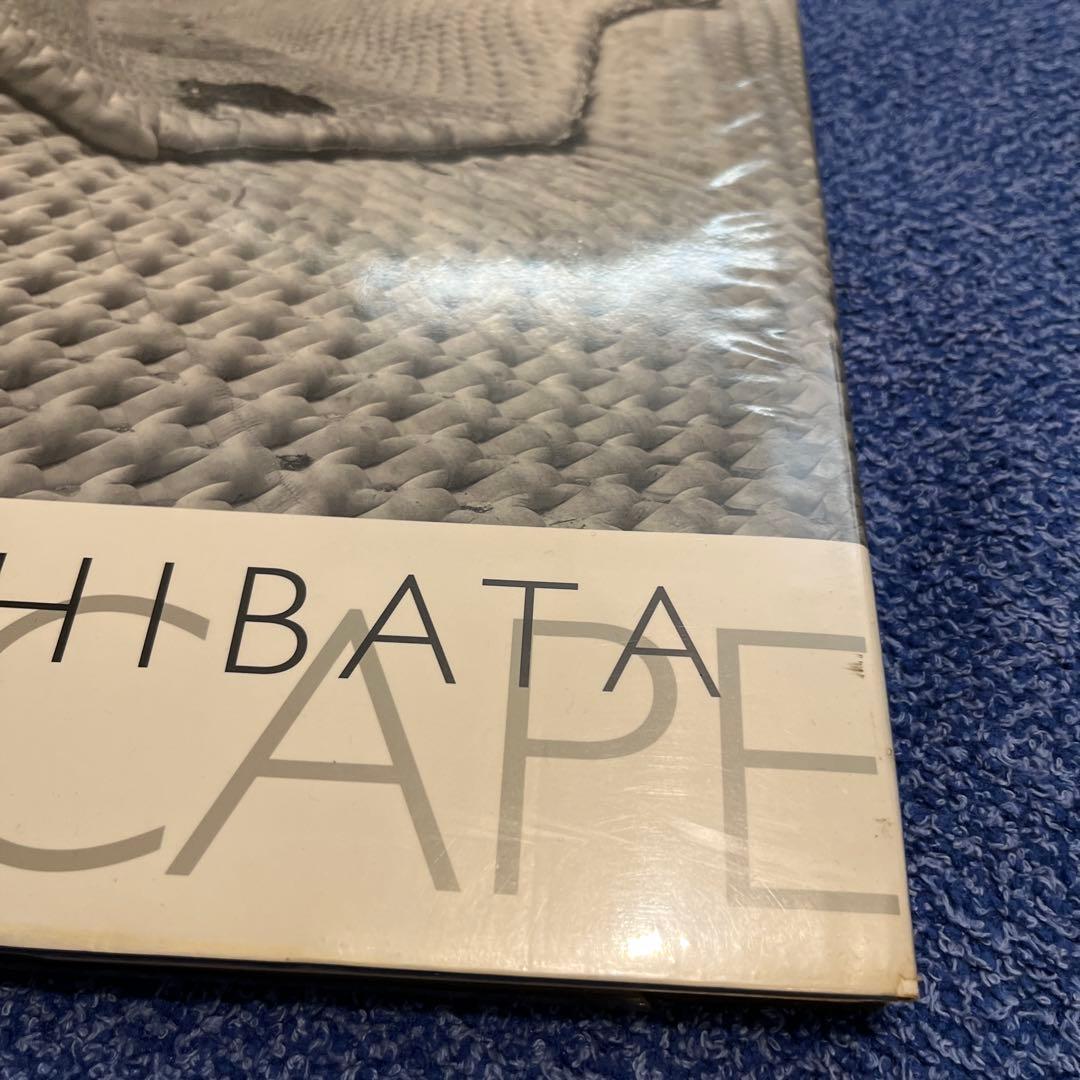 Toshio Shibata Landscape 柴田敏雄