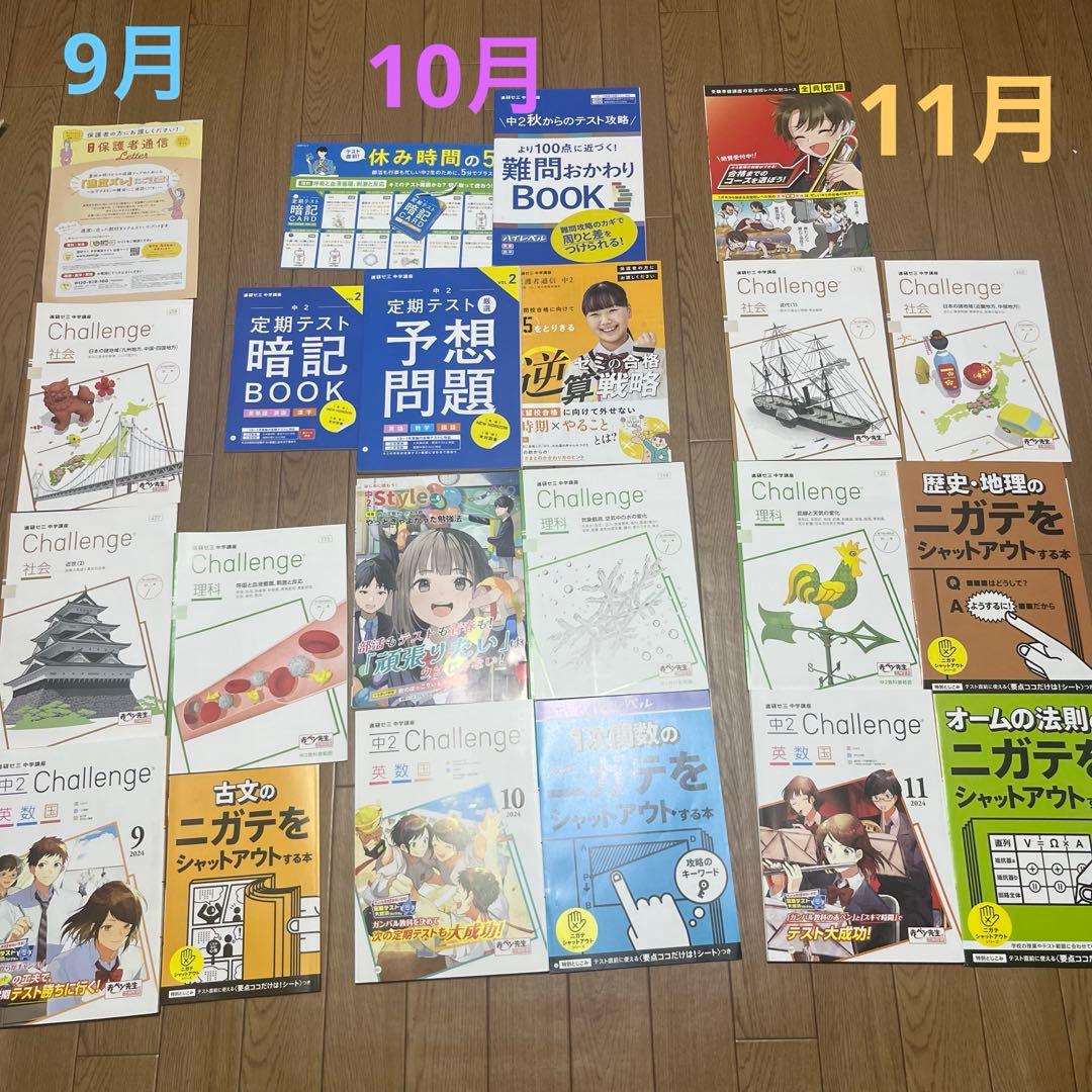 進研ゼミ中学講座2年生2024年度 【1年分全部セット！未使用多数！】