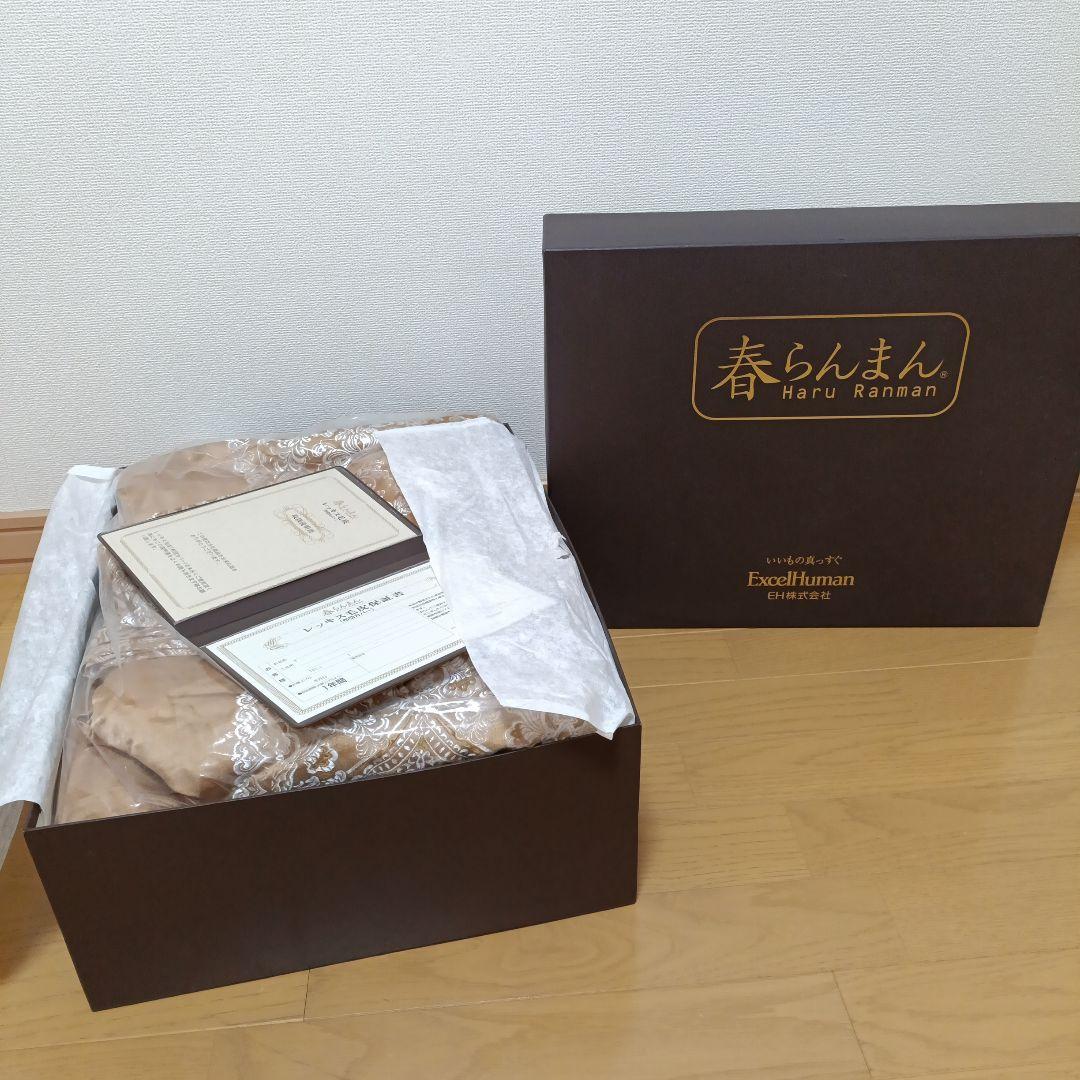 未使用　レッキスラビット　掛けカバー　Excel　Human　枕カバー2個セット