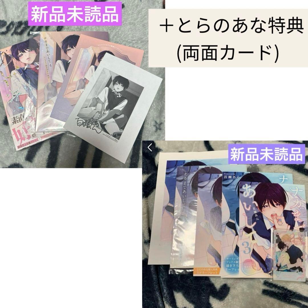 ナカまであいして　特典　小冊子　リーフレット　コミコミ　アニメイト　　新刊　新品