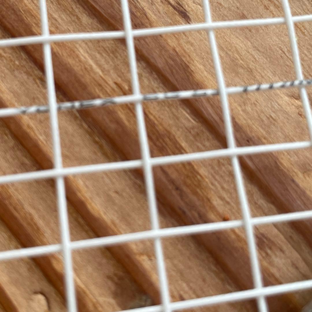 YONEX バドミントンラケット　カーボネックス 20 CARBONEX20