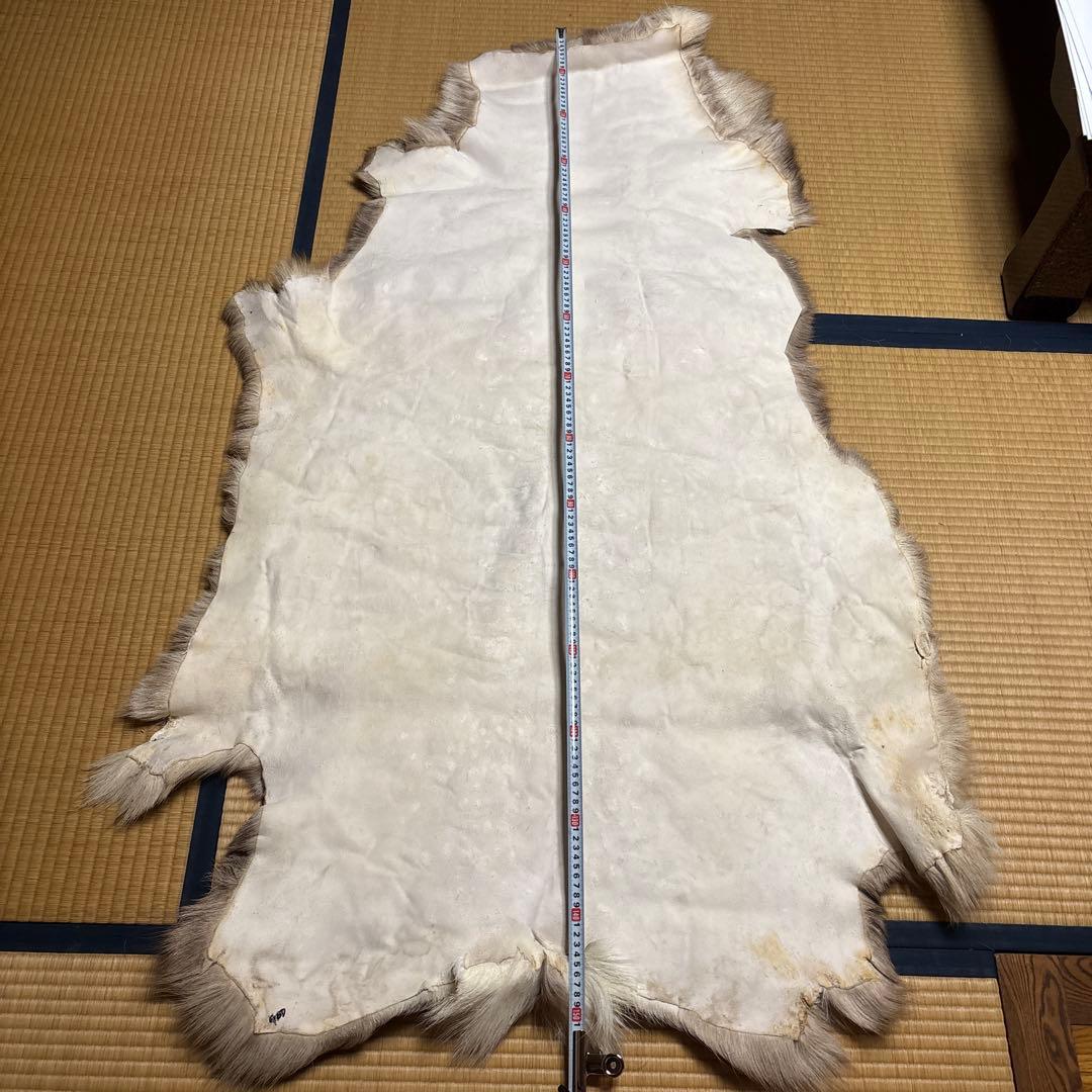 トナカイ毛皮　高級毛皮ラグ LARGE