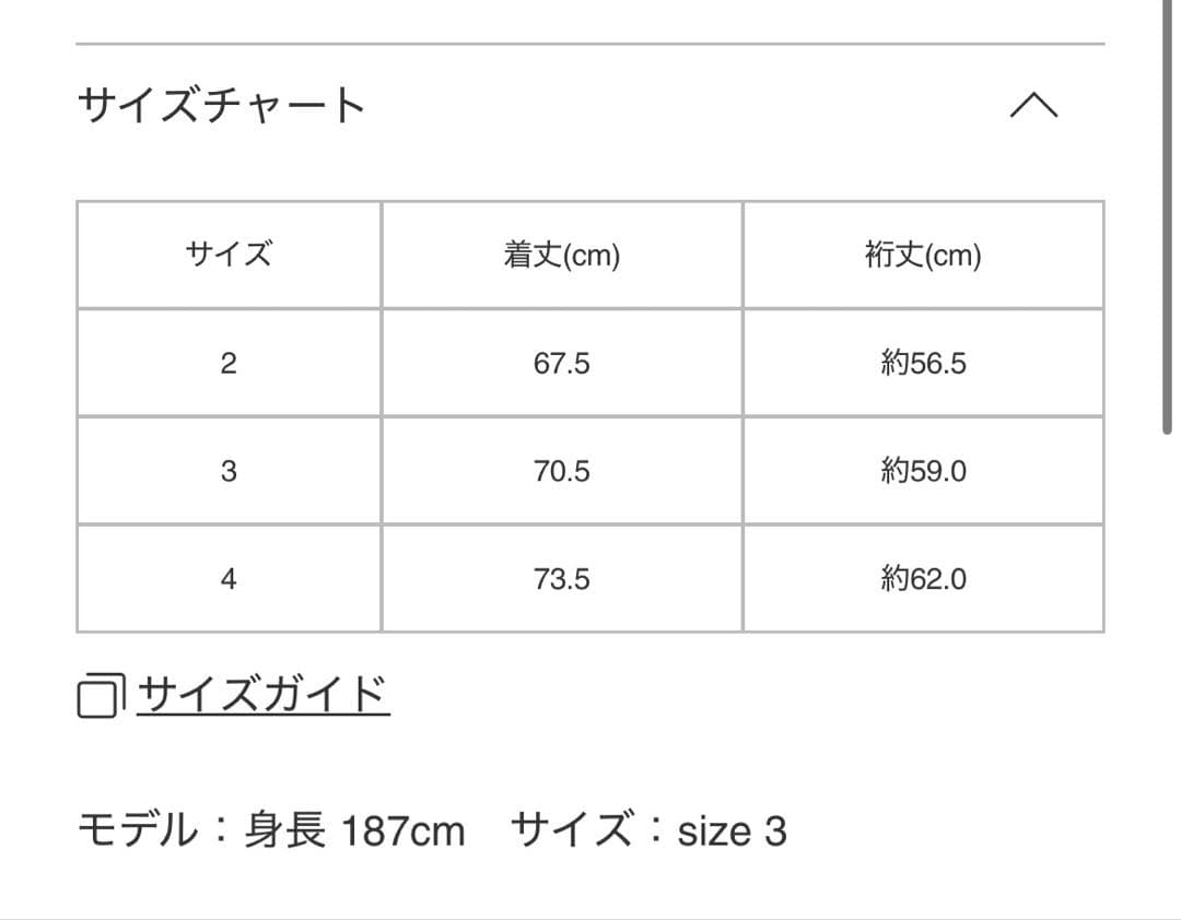 オムプリッセイッセイミヤケ　半袖シャツ