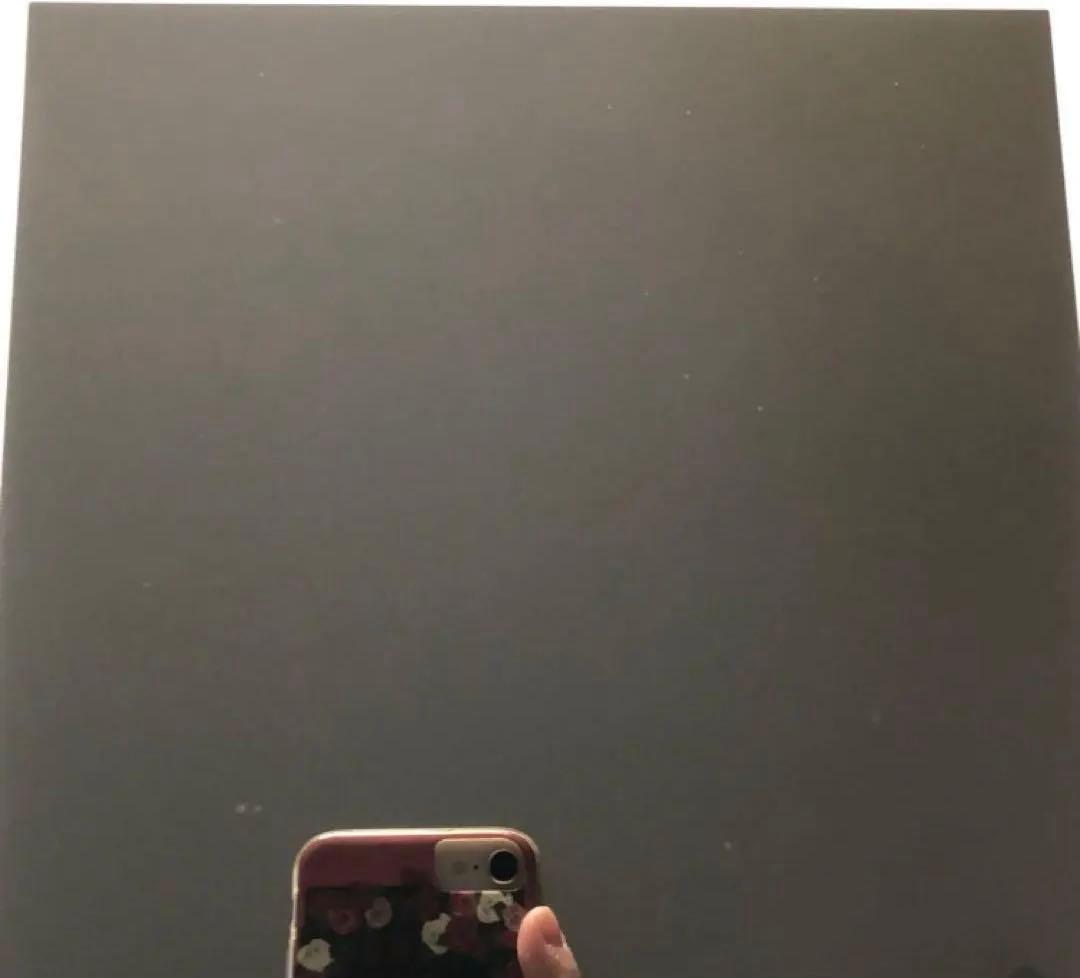 【早い者勝ち】iPad Pro 10.5 256GB 【すぐ発送】【付属品】