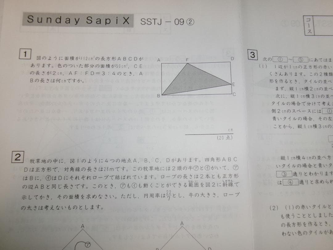 サピックス ＳＳ特訓＊６年＊算数／豊島岡 対策プリント＊全１７回＊書込少＊貴重