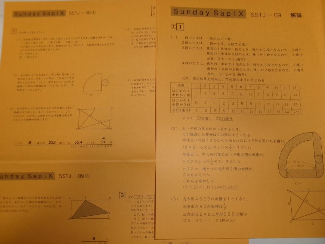 サピックス ＳＳ特訓＊６年＊算数／豊島岡 対策プリント＊全１７回＊書込少＊貴重