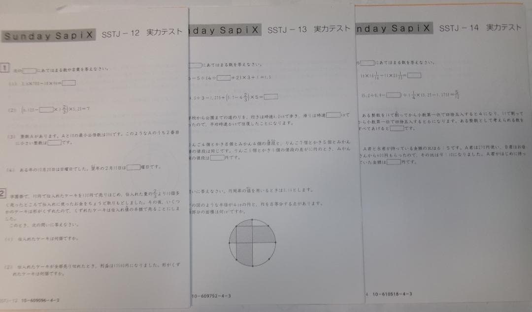 サピックス ＳＳ特訓＊６年＊算数／豊島岡 対策プリント＊全１７回＊書込少＊貴重