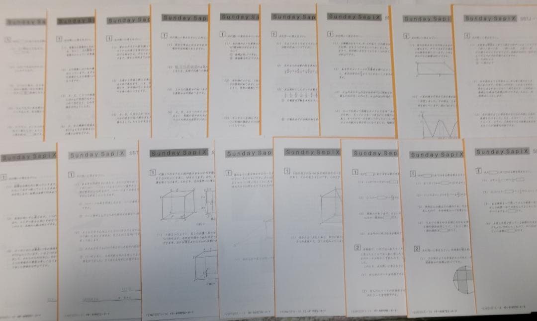 サピックス ＳＳ特訓＊６年＊算数／豊島岡 対策プリント＊全１７回＊書込少＊貴重