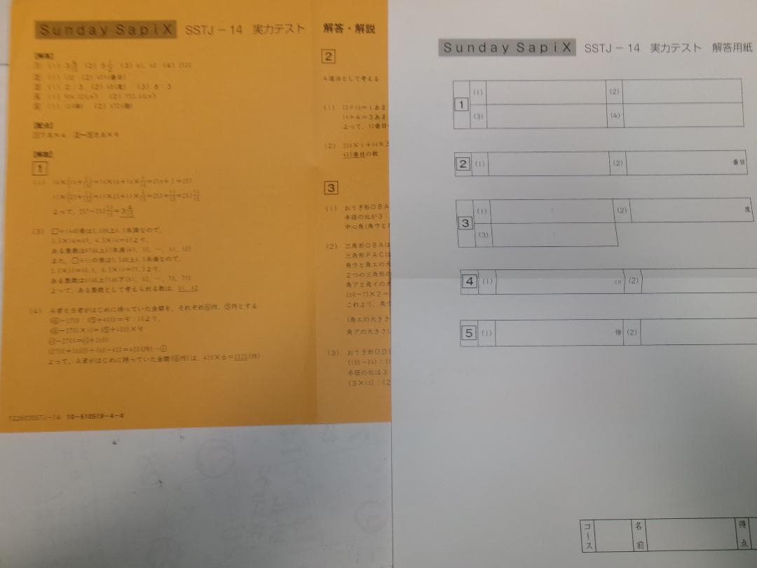 サピックス ＳＳ特訓＊６年＊算数／豊島岡 対策プリント＊全１７回＊書込少＊貴重