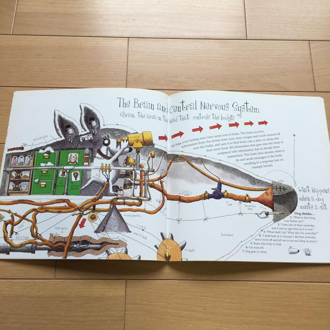 【How Dogs Really Work! 】by Alan 