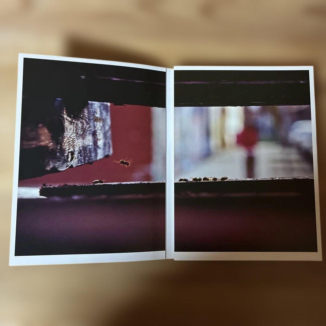 JIRO KONAMI 小浪次郎 \"Straight, No chaser\"