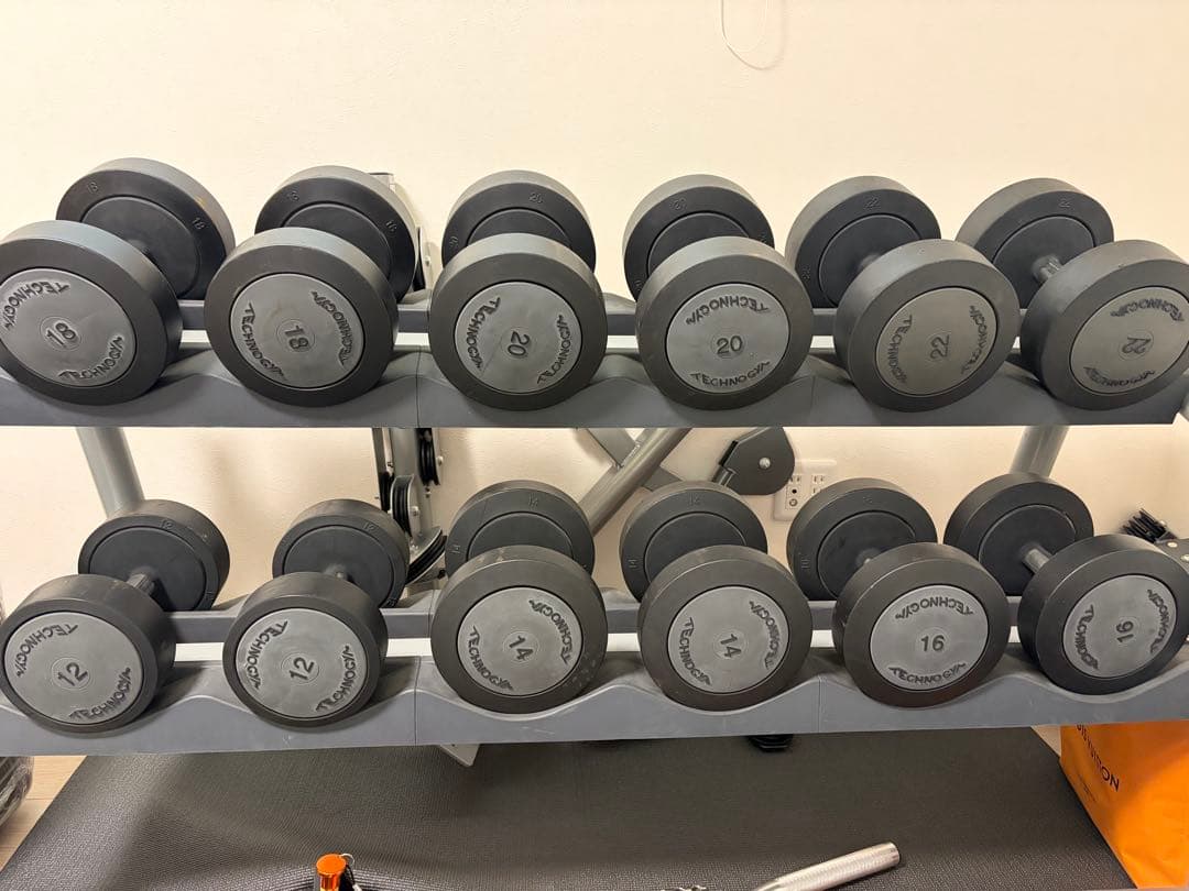 TECHNOGYM テクノジム ダンベルセット 12kg〜22kg（計12本美品