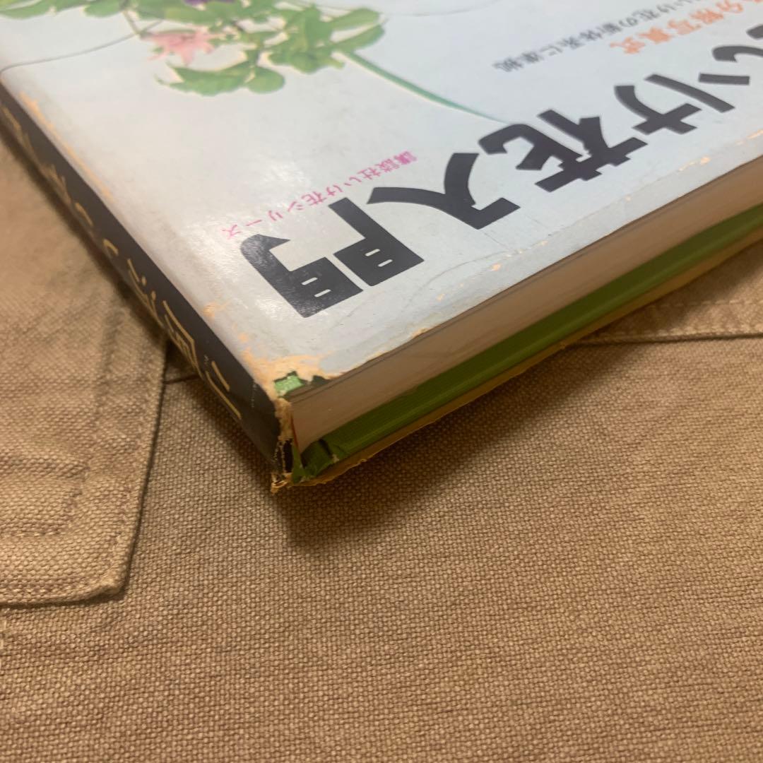 【希少！】小原流いけ花入門―すぐわかる分解写真式