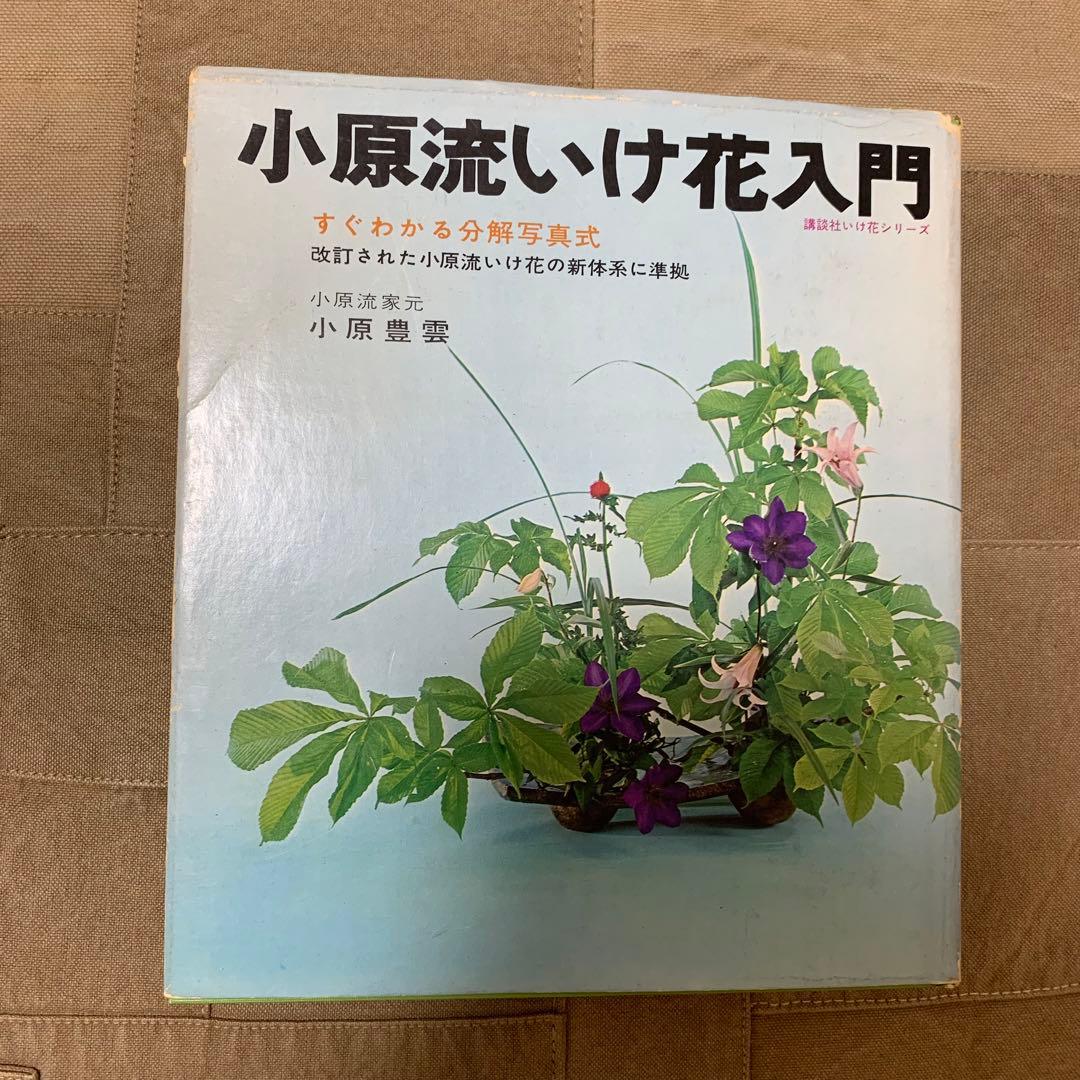 【希少！】小原流いけ花入門―すぐわかる分解写真式