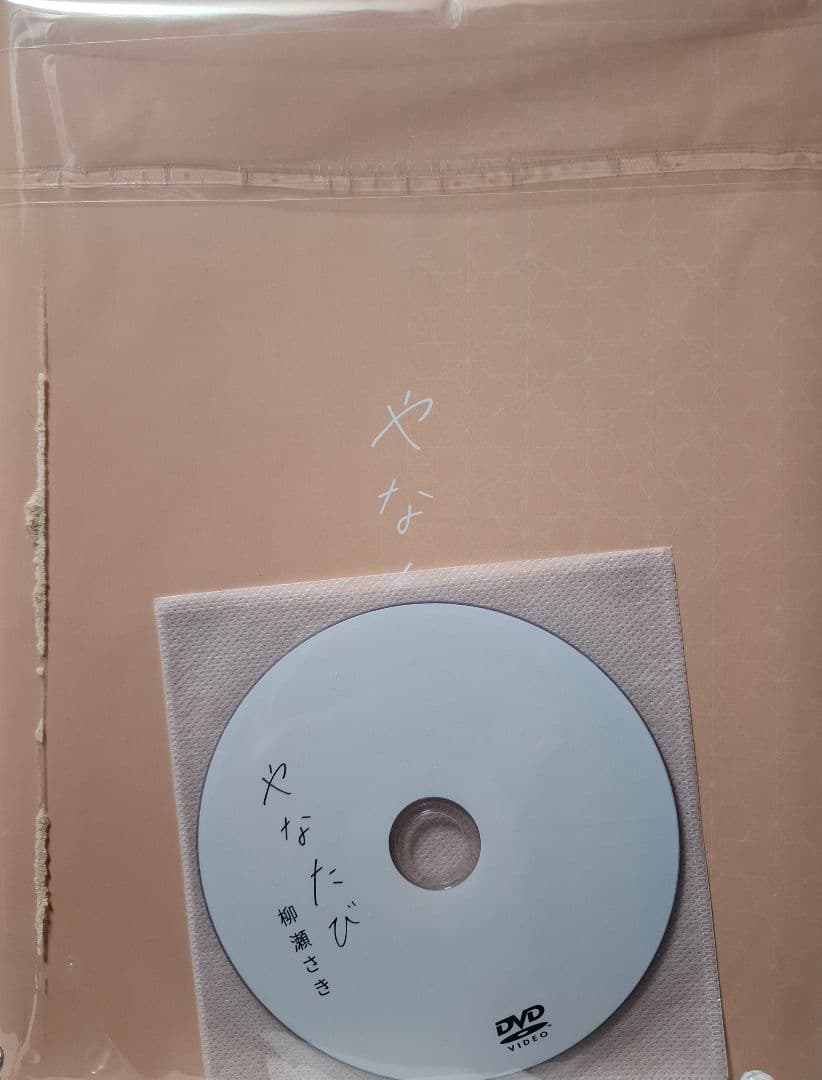 【300部限定】柳瀬さき 最新フォトブック『やなたび』豪華特典付き 初回限定版
