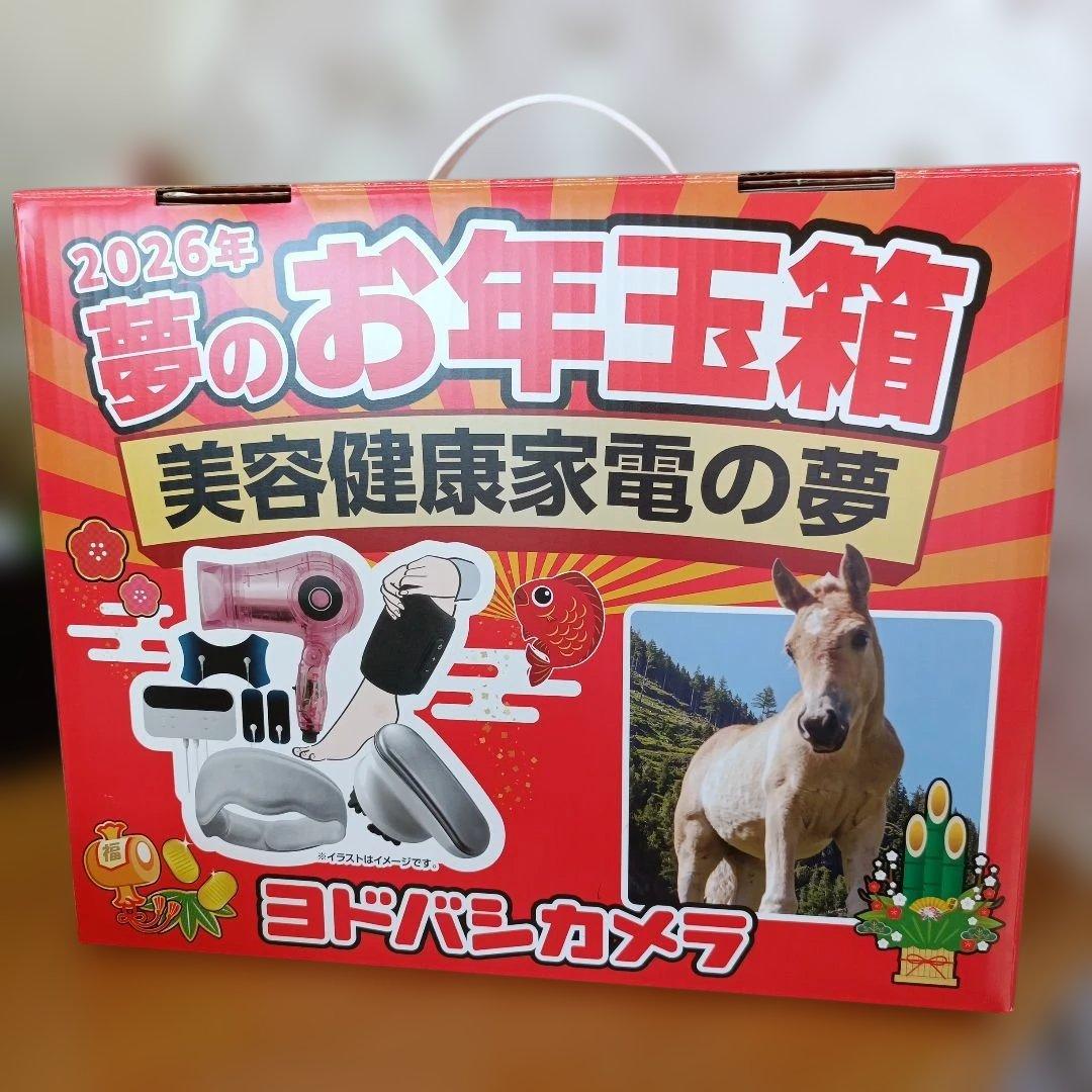 夢のお年玉箱 2026年 美容健康家電