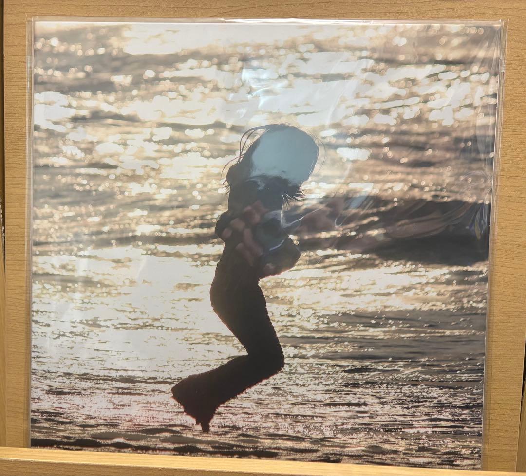 踊ってばかりの国 / On the shore LP