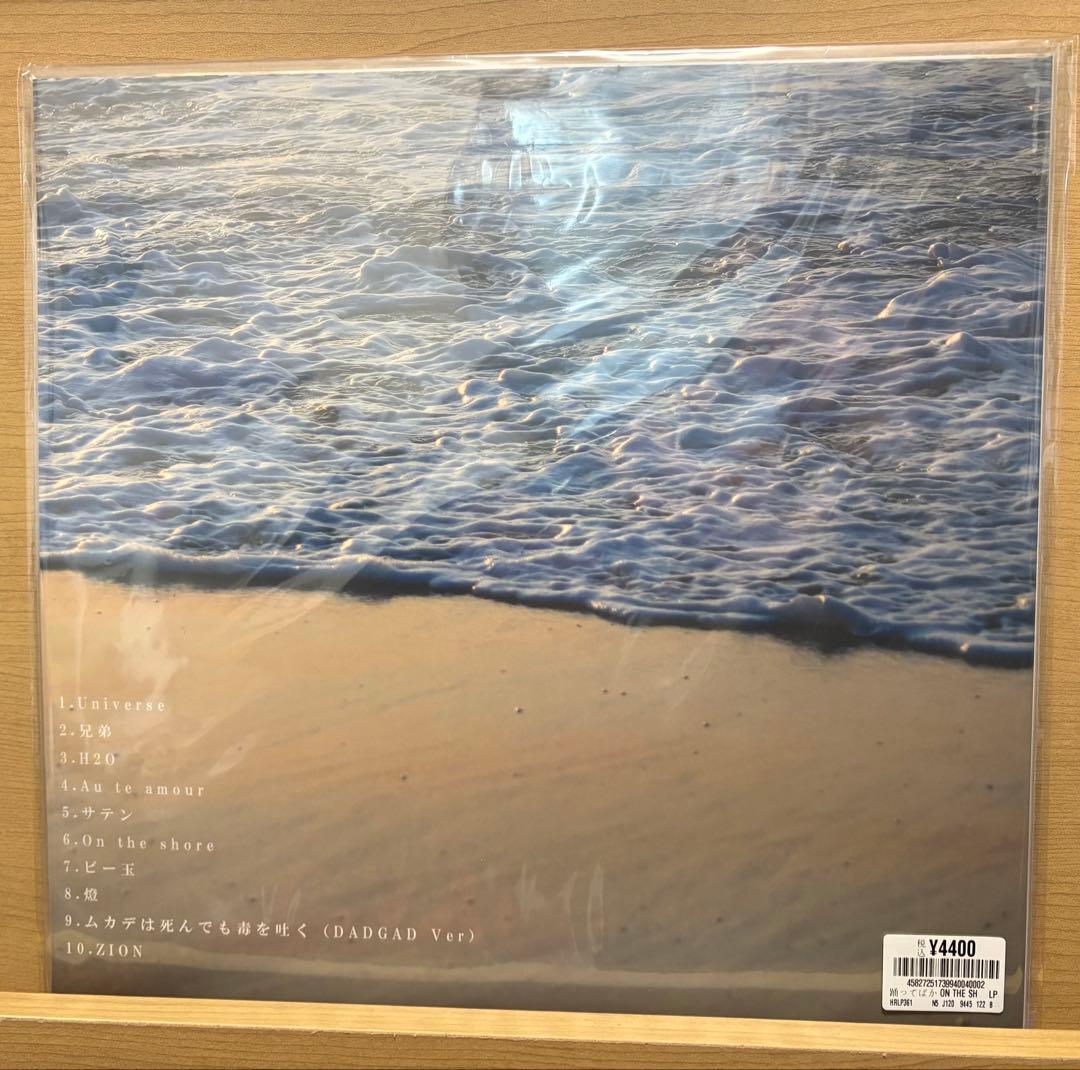 踊ってばかりの国 / On the shore LP