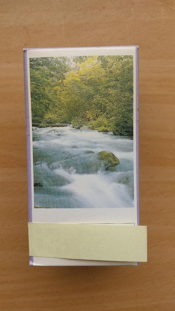 ヒノキオイル ※青森ヒバ油 (精油) 1000㎖／虫よけ・抗菌・アロマ・カビ予防