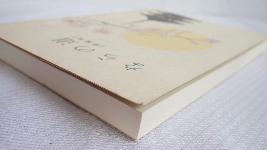 ならの道/増補版 国交省近畿地方整備局 奈良国道事務所 平成17年 第2版