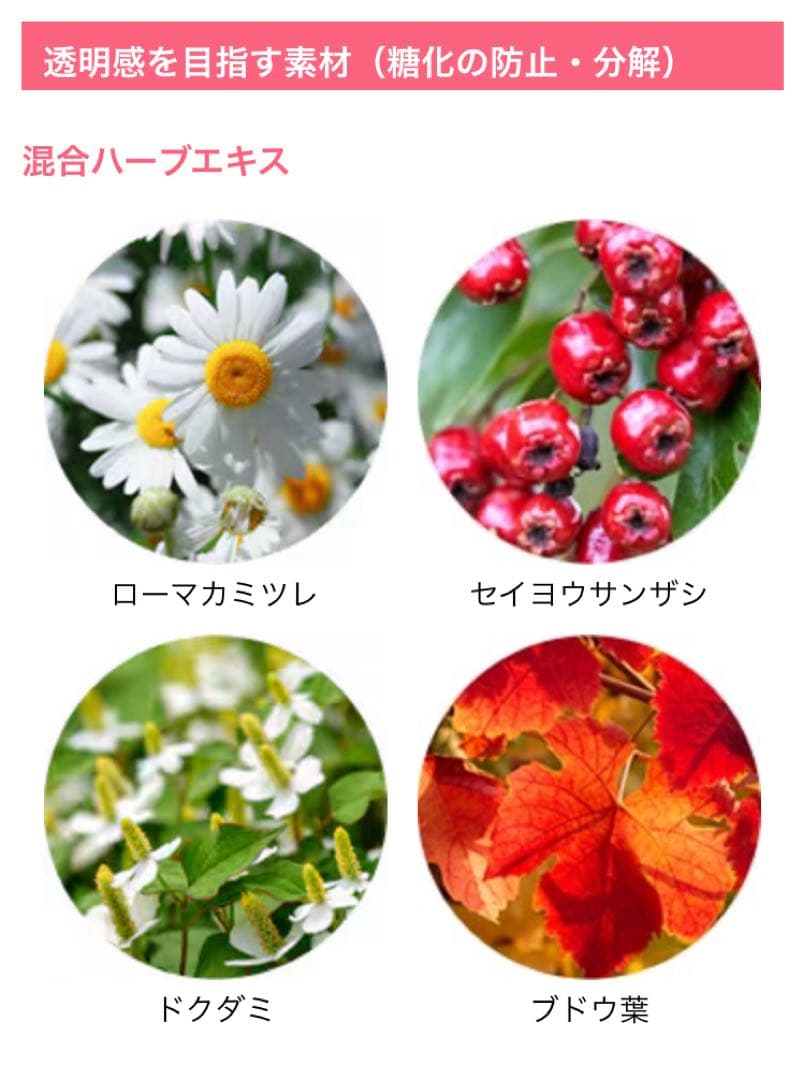 【新品・正規品】SBC MEDISPA ホワイトサプリメント 湘南美容 2箱