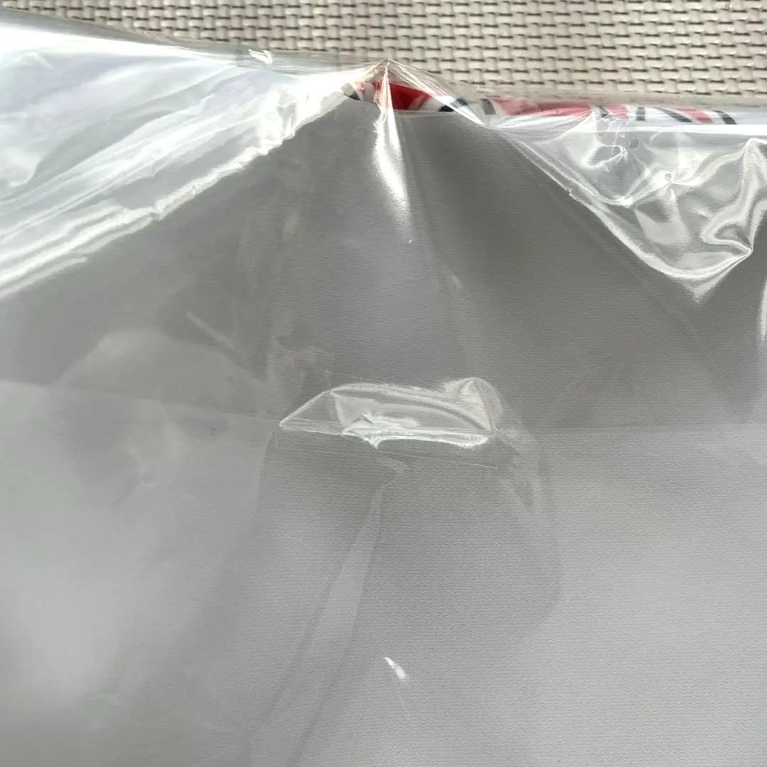 【12月17日以降値上げ予定】鬼滅の刃 煉獄杏寿郎 寝そべりイラスト 布ポスター